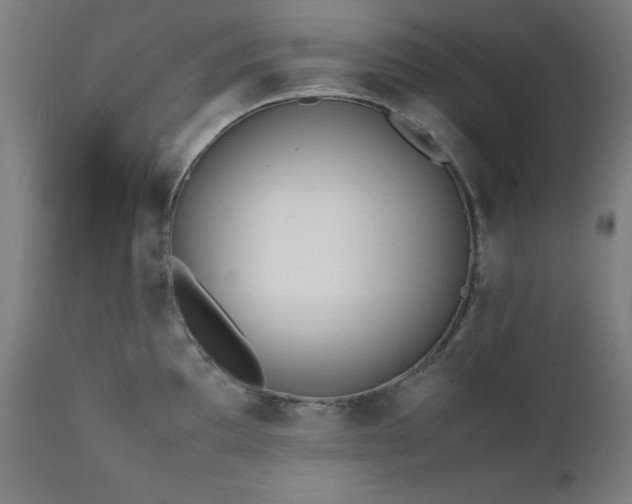 X0000112051097200908041144