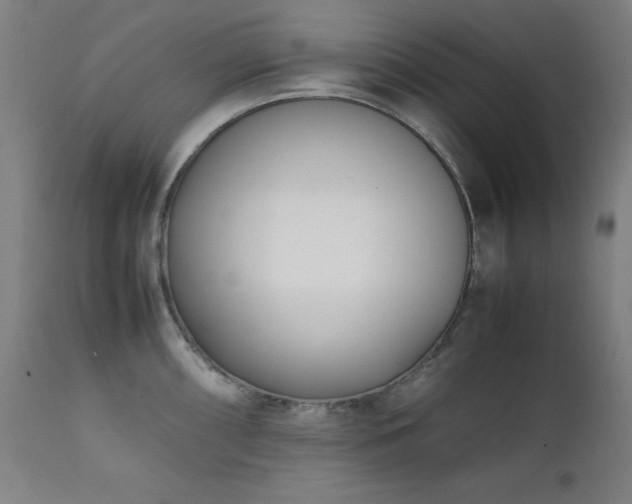 X0000112051098200908041144