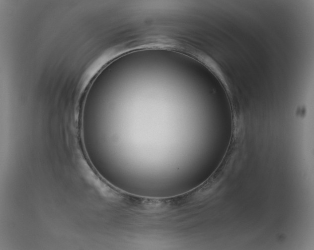 X0000112051099200908041144