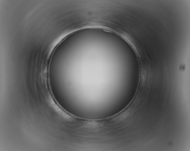 X0000112051100200908041144