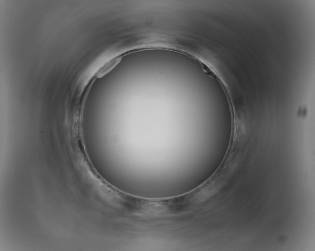 X0000112051101200908041144