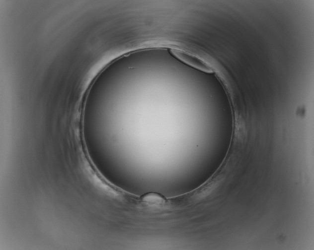X0000112051102200908041144