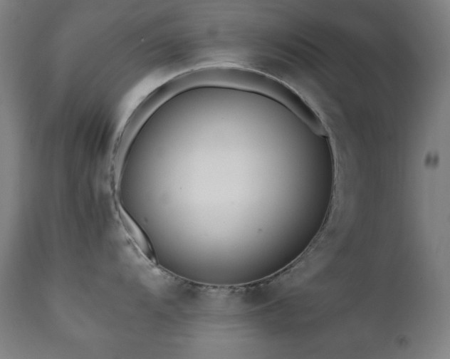 X0000112051104200908041144