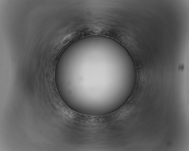 X0000112051105200908041144