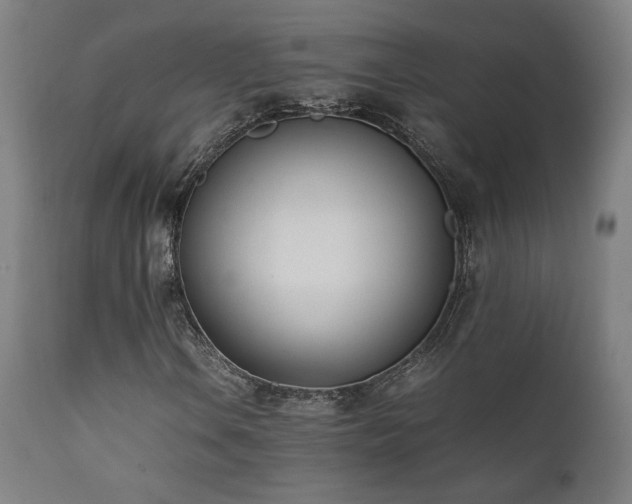 X0000112051106200908041144