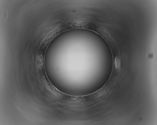 X0000112051107200908041144