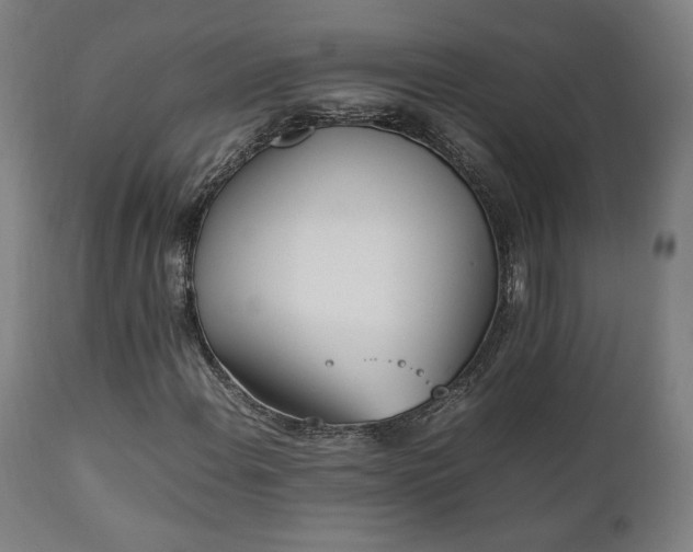 X0000112051108200908041144