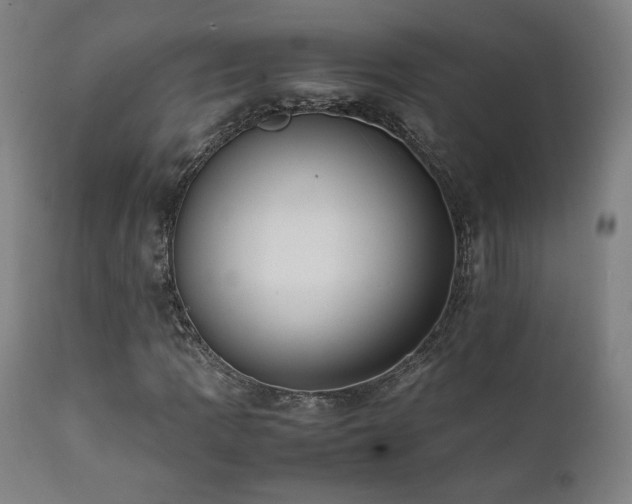X0000112051109200908041144