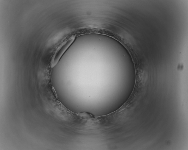 X0000112051110200908041144