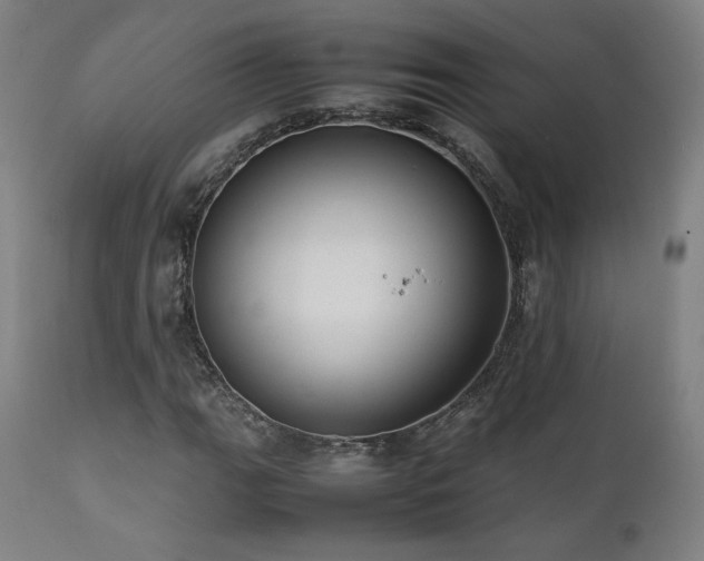 X0000112051111200908041144