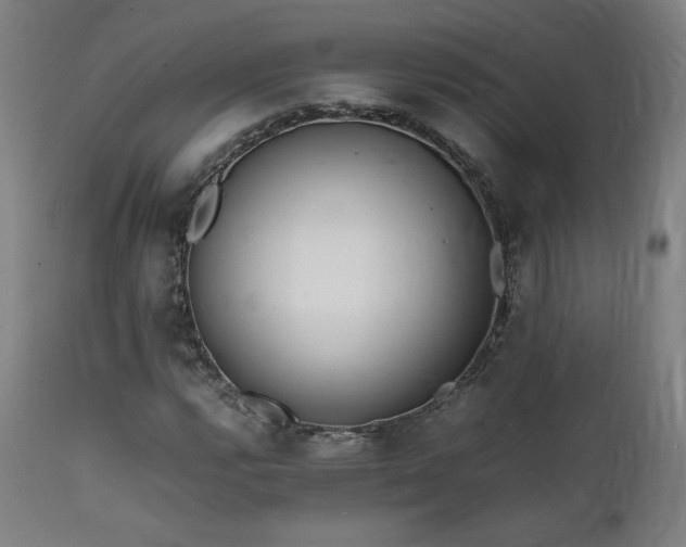 X0000112051112200908041144