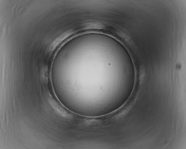 X0000112051113200908041144