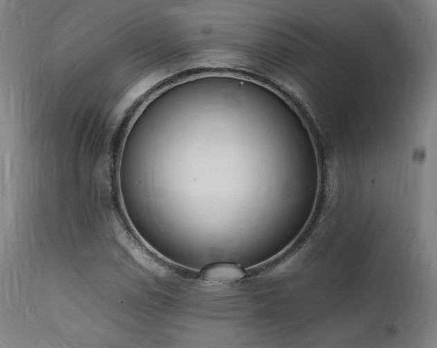 X0000112051114200908041144