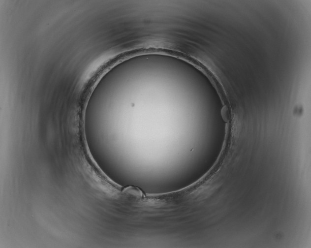 X0000112051115200908041144