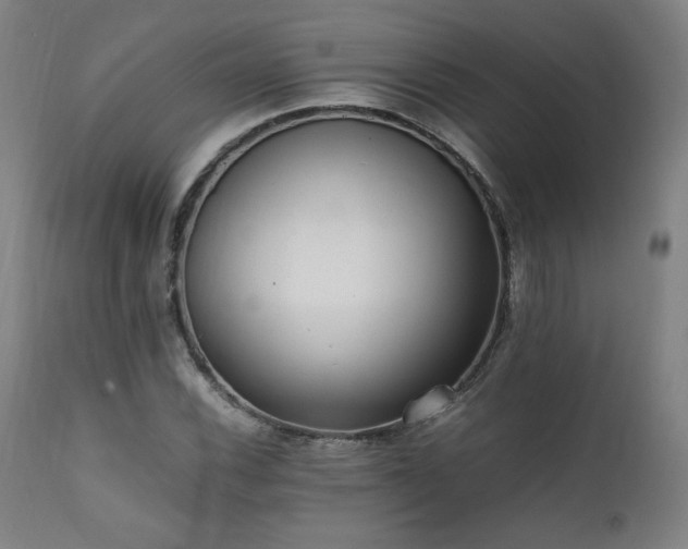 X0000112051116200908041144