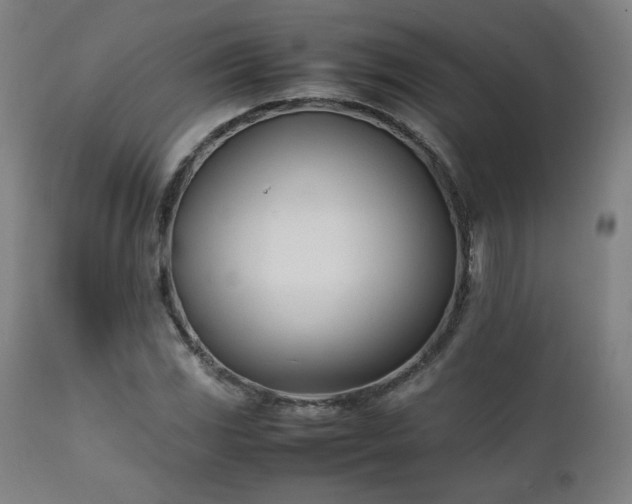 X0000112051117200908041144