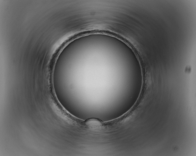 X0000112051118200908041144