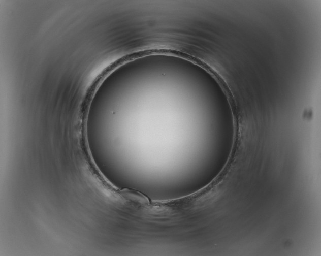 X0000112051119200908041144