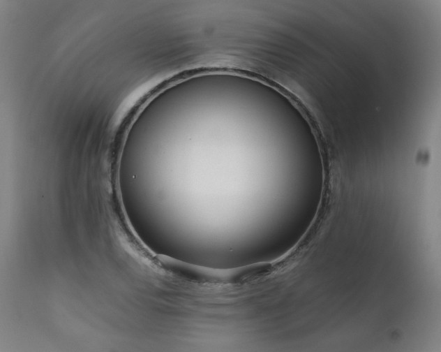 X0000112051120200908041144