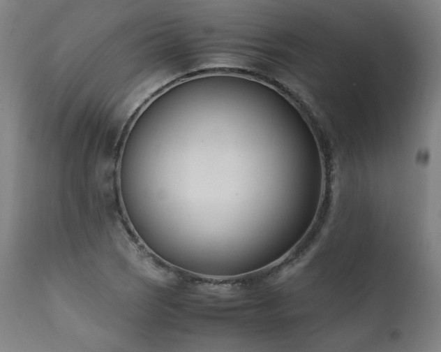 X0000112051121200908041144