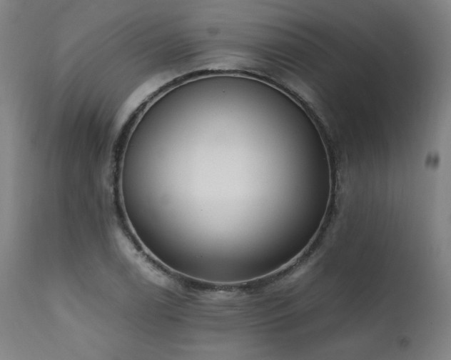 X0000112051122200908041144
