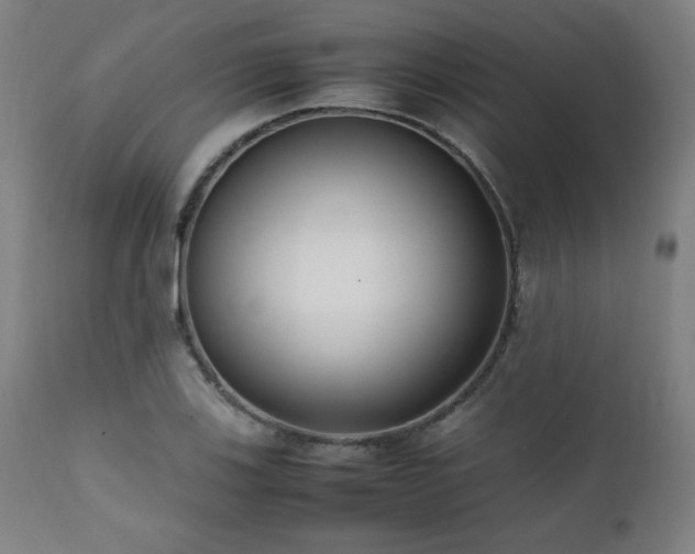 X0000112051123200908041144