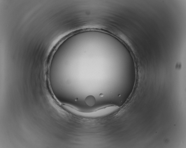 X0000112051124200908041144