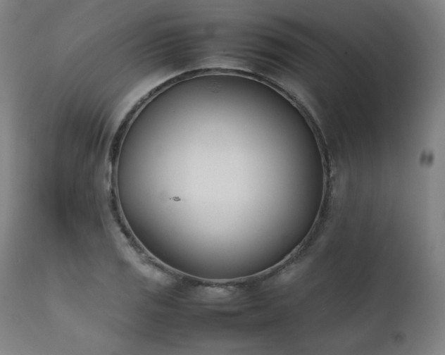 X0000112051125200908041144