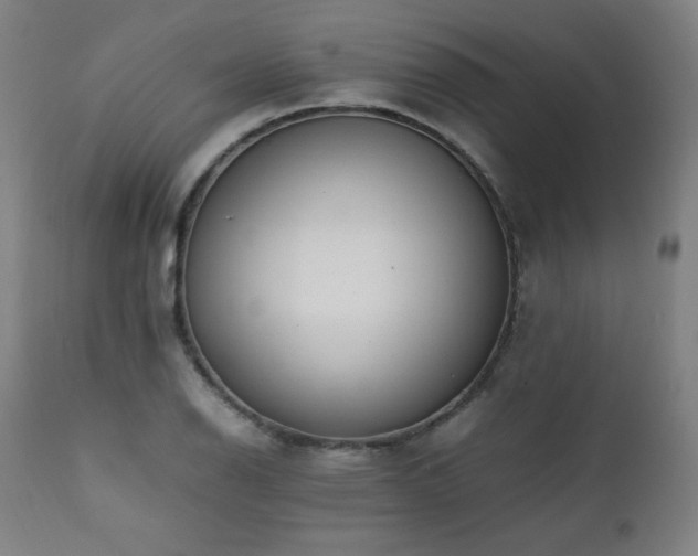 X0000112051126200908041144