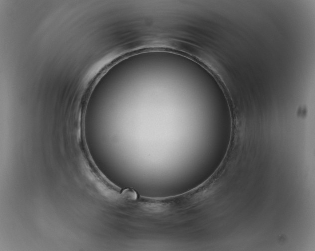 X0000112051127200908041144
