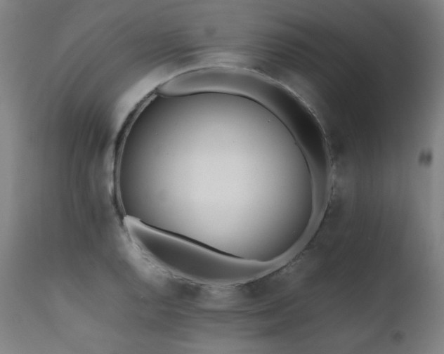 X0000112051128200908041144