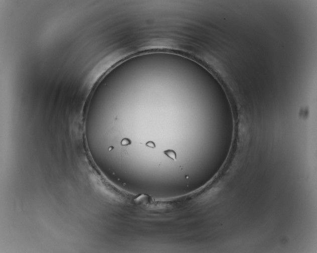 X0000112051129200908041144