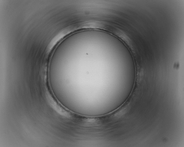 X0000112051130200908041144