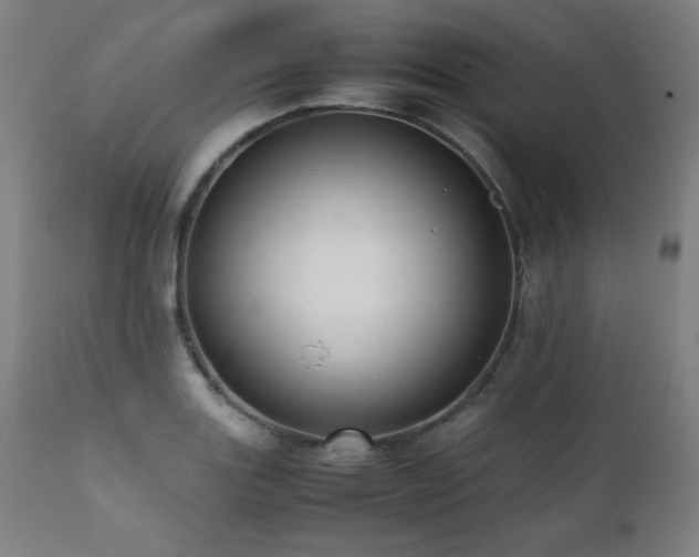 X0000112051131200908041144