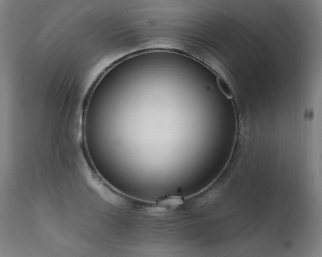 X0000112051132200908041144