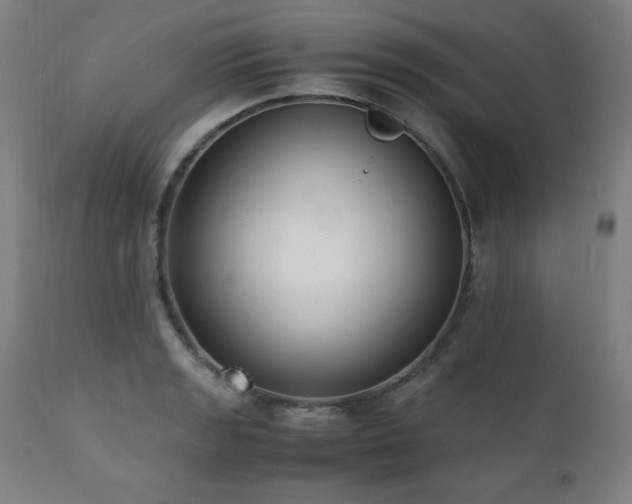 X0000112051133200908041144