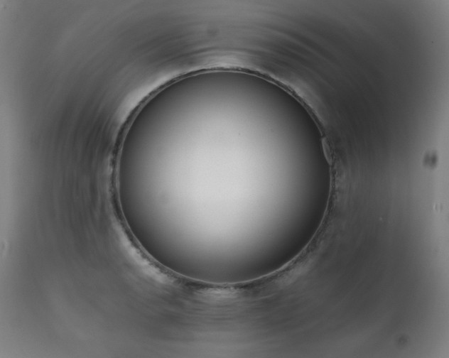 X0000112051134200908041144