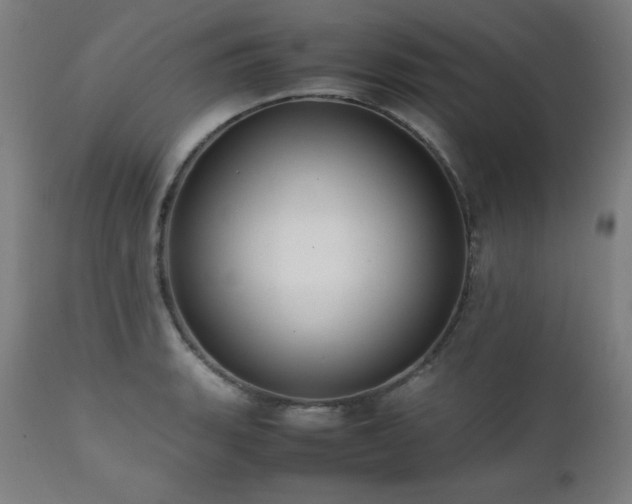 X0000112051135200908041144