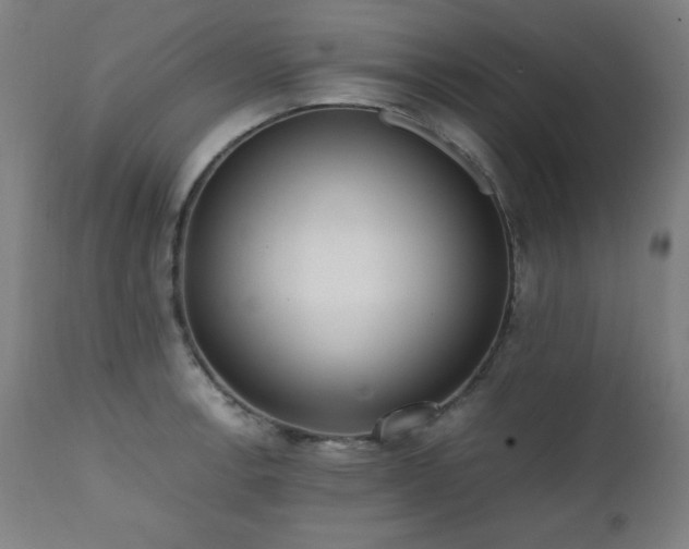 X0000112051138200908041144