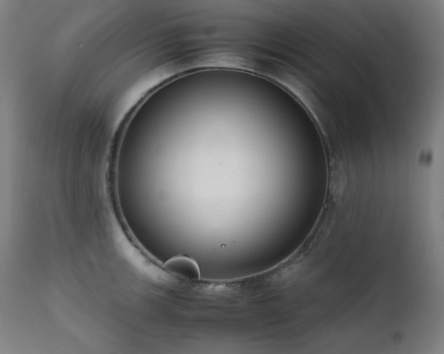 X0000112051139200908041144