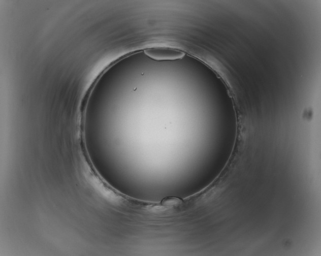 X0000112051140200908041144