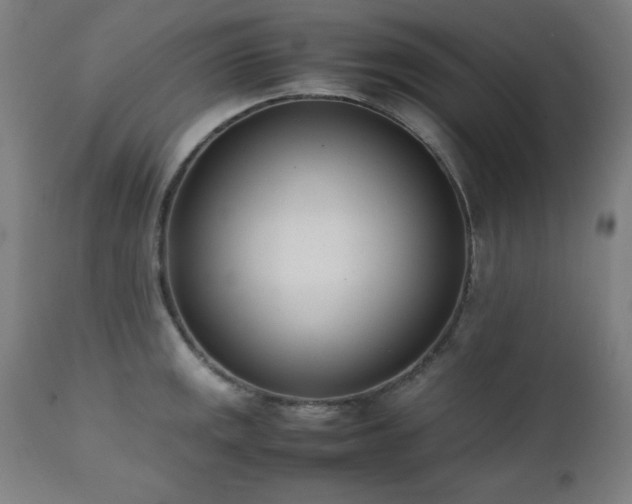 X0000112051141200908041144