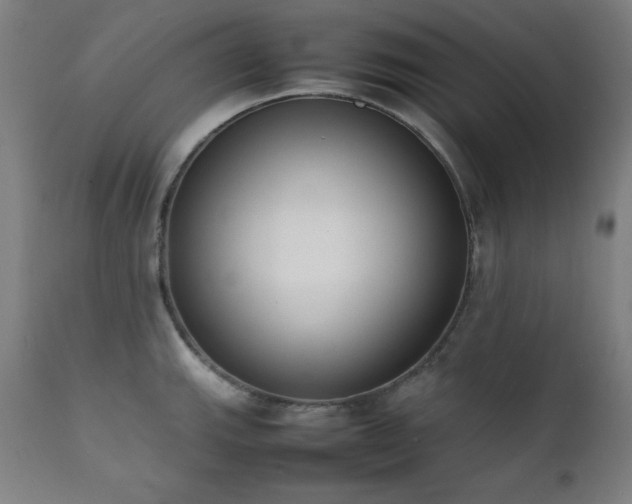 X0000112051143200908041144