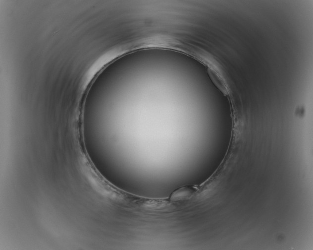 X0000112051146200908041144