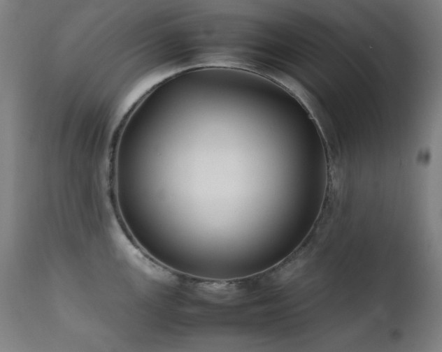 X0000112051147200908041144