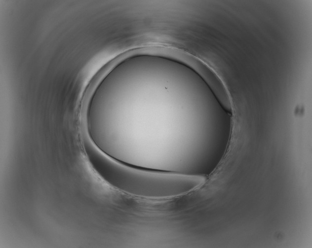 X0000112051152200908041144