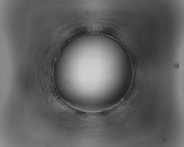 X0000112051153200908041144