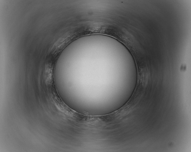 X0000112051154200908041144