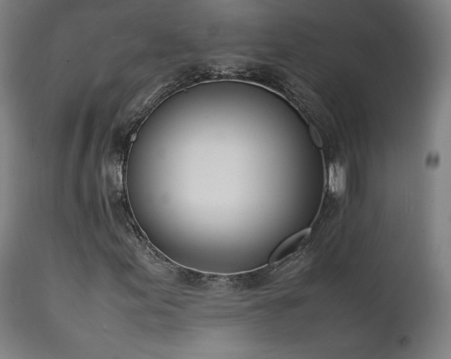 X0000112051155200908041144