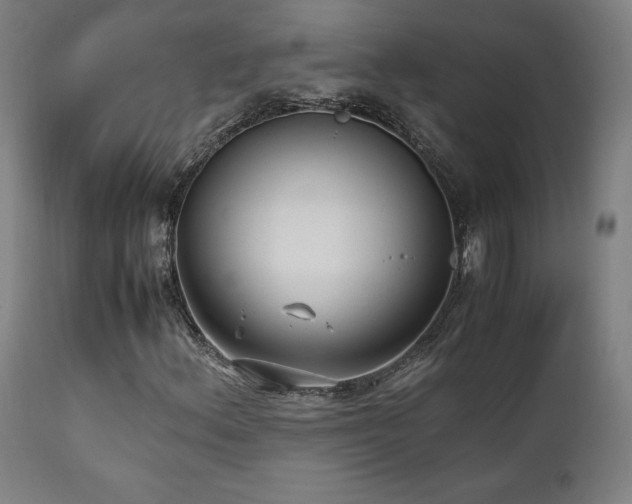X0000112051156200908041144
